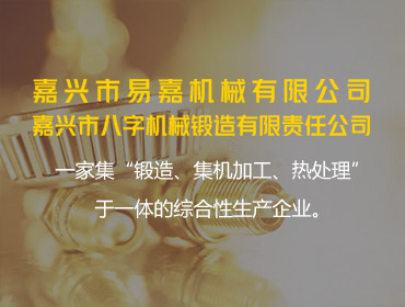 嘉興市易嘉機械有限公司2023 年度綠色低碳發展年度報告